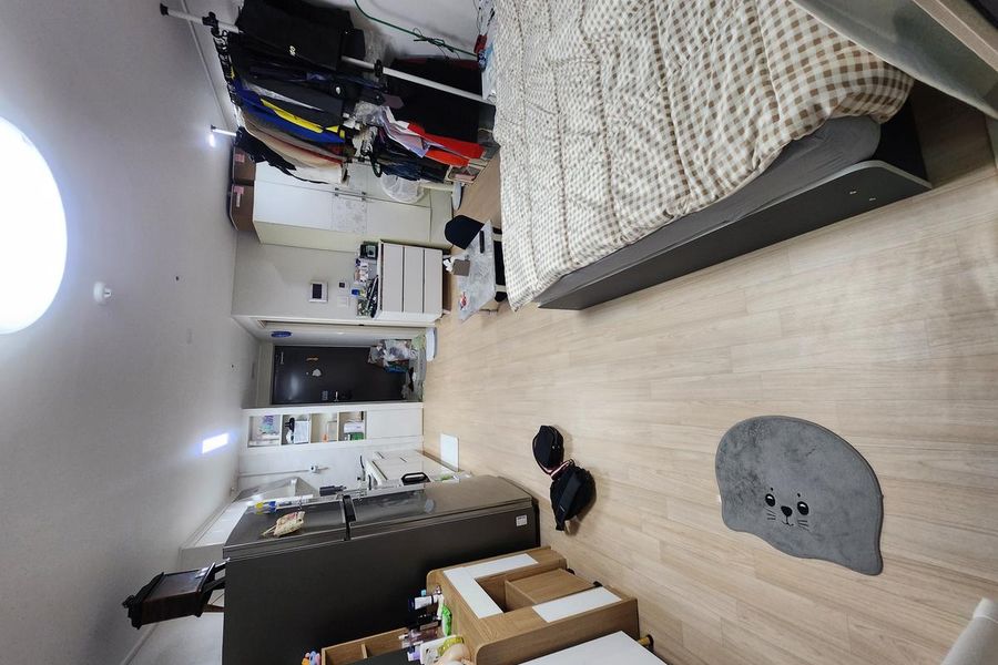 홍천군 진행 중 현장