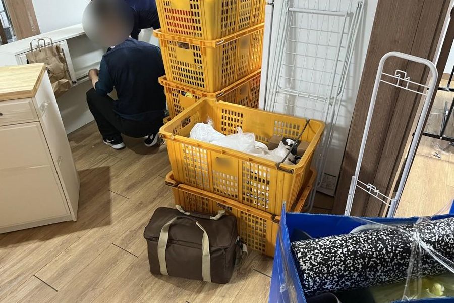 강릉시 현장 스냅