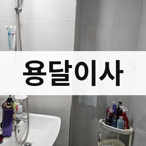 충청·강원 용달이사 포장이사