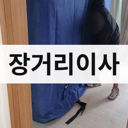 충청·강원 장거리이사 보관이사