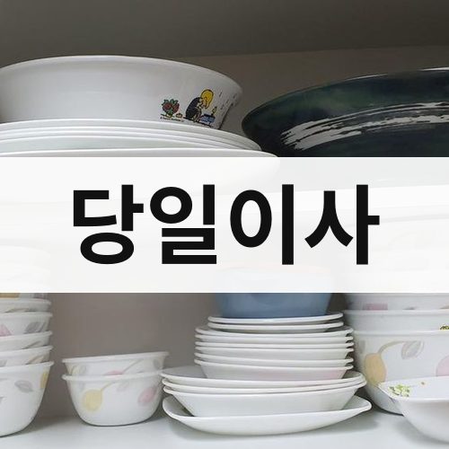 충청·강원 당일이사 원룸이사
